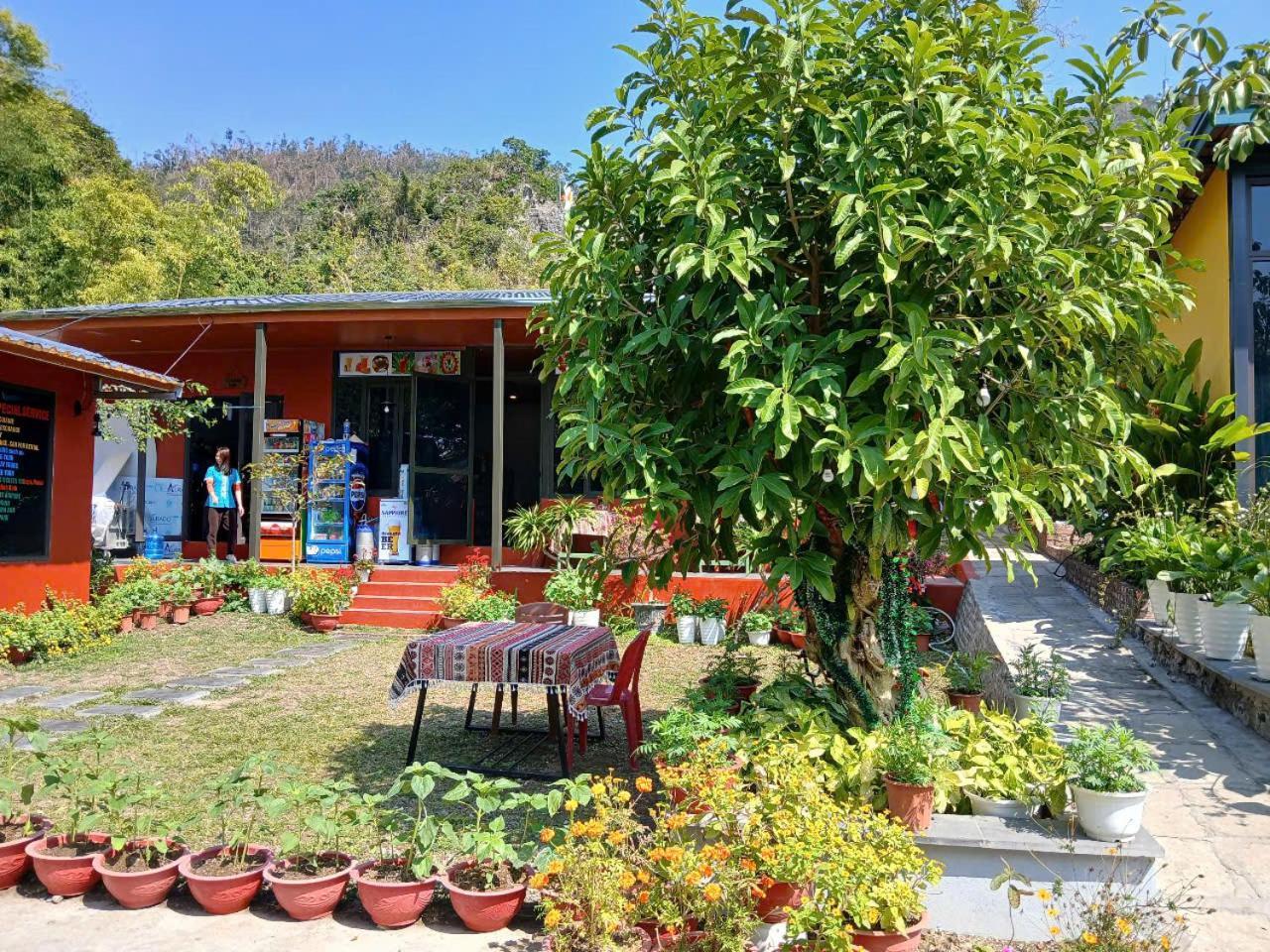 Catba Papillon Garden Bungalows & Resort Hien Hao Eksteriør bilde