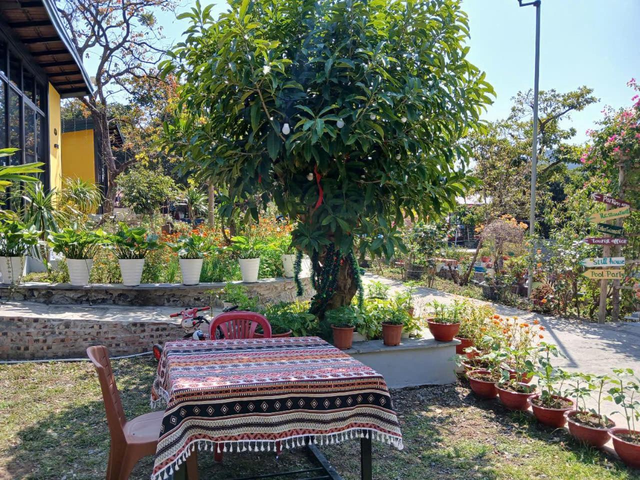 Catba Papillon Garden Bungalows & Resort Hien Hao Eksteriør bilde