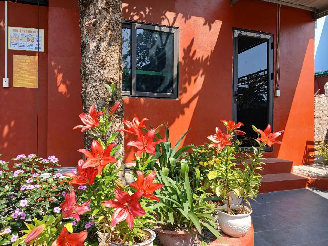 Catba Papillon Garden Bungalows & Resort Hien Hao Eksteriør bilde