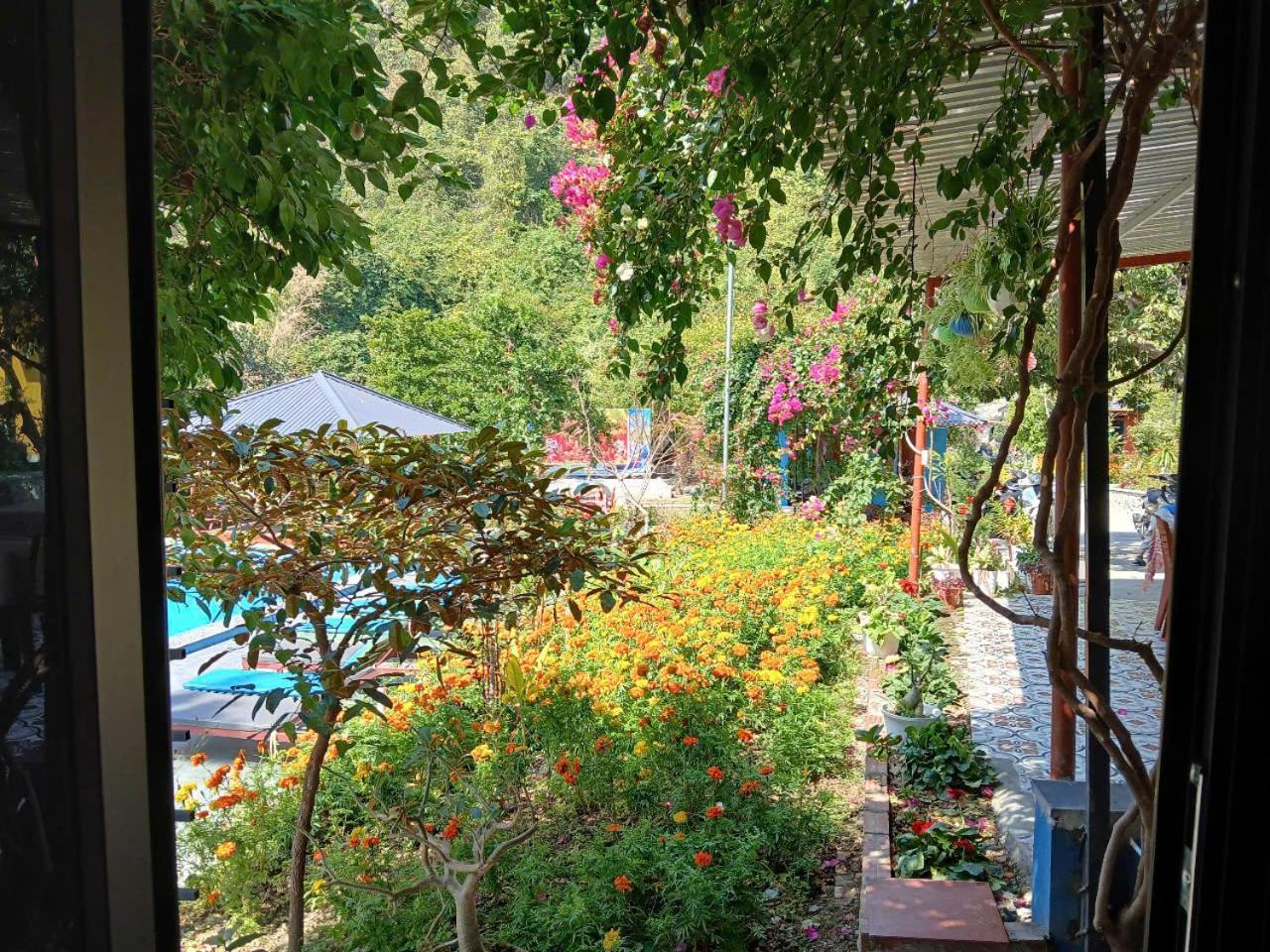 Catba Papillon Garden Bungalows & Resort Hien Hao Eksteriør bilde
