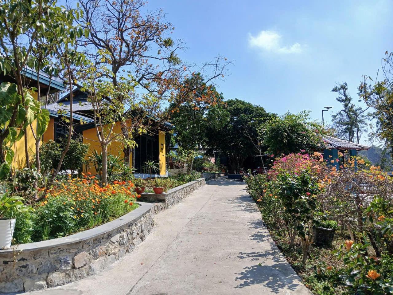 Catba Papillon Garden Bungalows & Resort Hien Hao Eksteriør bilde