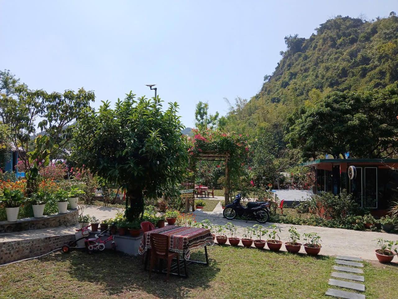 Catba Papillon Garden Bungalows & Resort Hien Hao Eksteriør bilde
